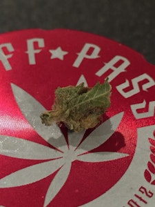 Calgary+%E2%80%93+Midnapore Cannabis Store - Image 1